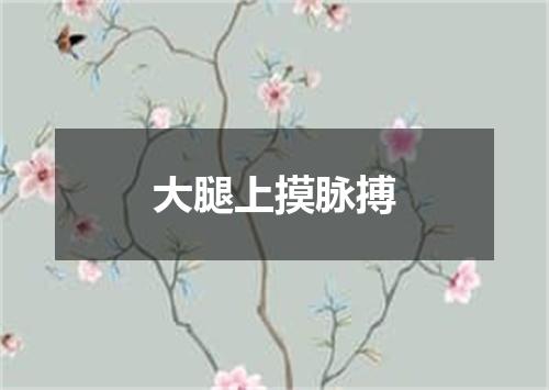 大腿上摸脉搏