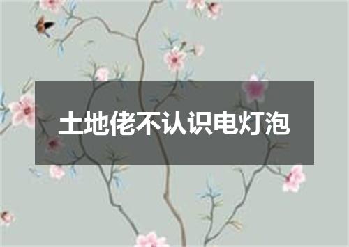 土地佬不认识电灯泡