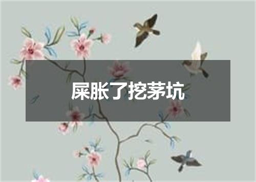 屎胀了挖茅坑