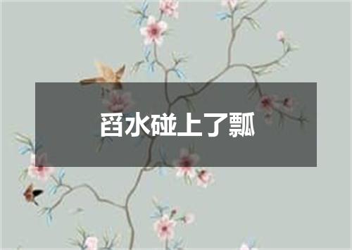 舀水碰上了瓢