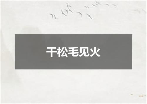 干松毛见火