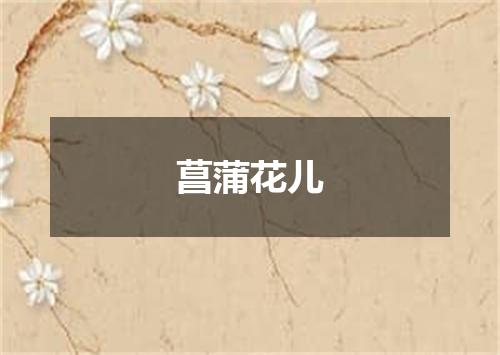 菖蒲花儿