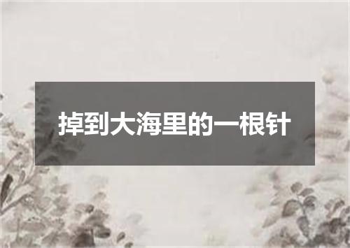 掉到大海里的一根针