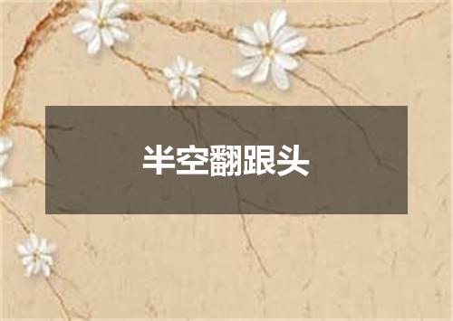 半空翻跟头