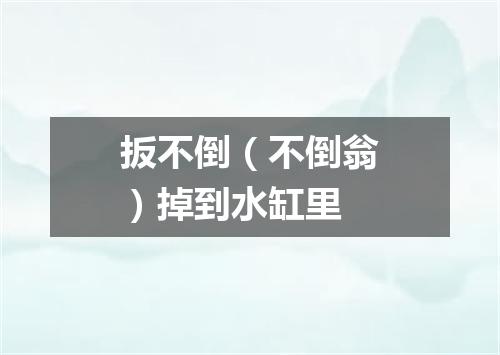 扳不倒（不倒翁）掉到水缸里