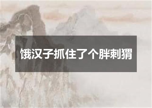 饿汉子抓住了个胖刺猬