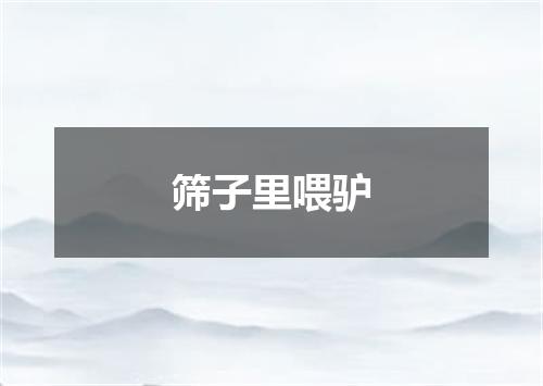 筛子里喂驴