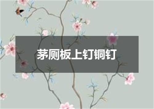 茅厕板上钉铜钉