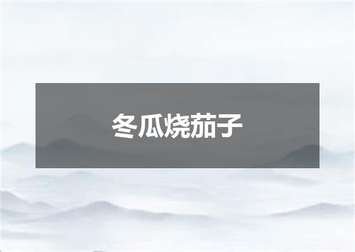 冬瓜烧茄子