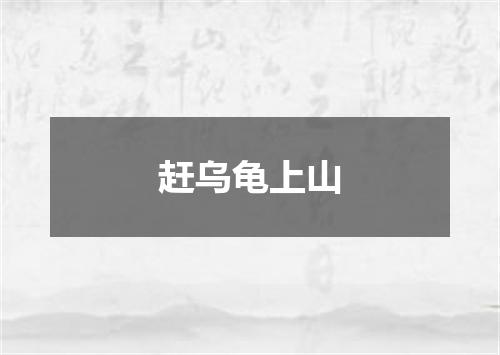 赶乌龟上山