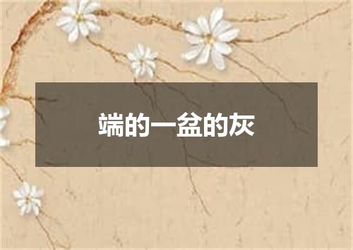 端的一盆的灰