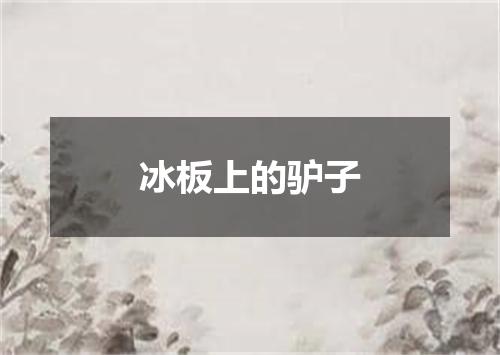 冰板上的驴子