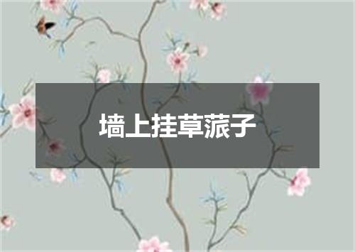 墙上挂草蒎子