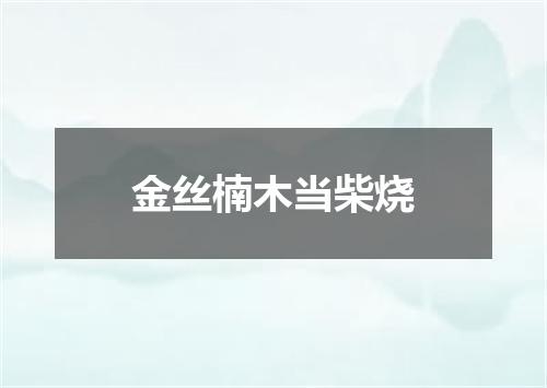 金丝楠木当柴烧