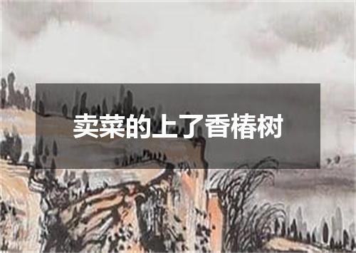 卖菜的上了香椿树