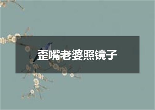 歪嘴老婆照镜子