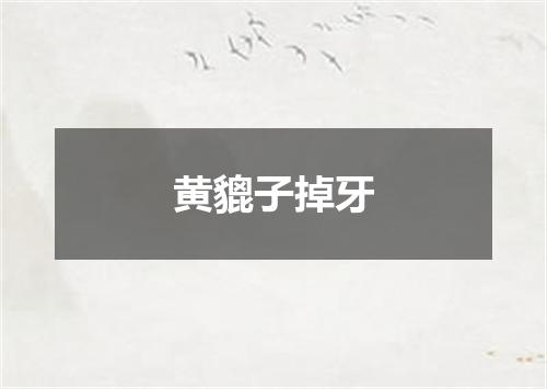 黄貔子掉牙
