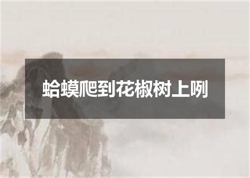 蛤蟆爬到花椒树上咧