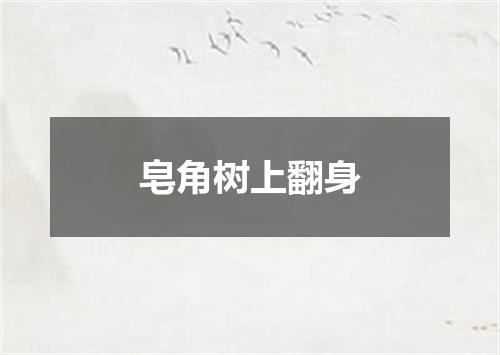 皂角树上翻身