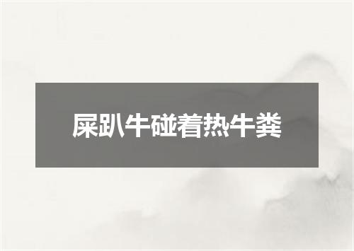 屎趴牛碰着热牛粪