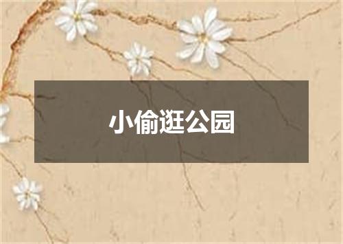 小偷逛公园