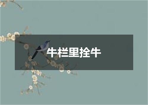 牛栏里拴牛