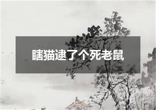 瞎猫逮了个死老鼠
