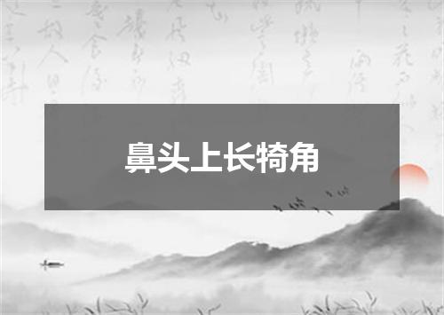 鼻头上长犄角