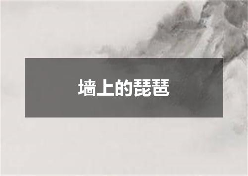 墙上的琵琶