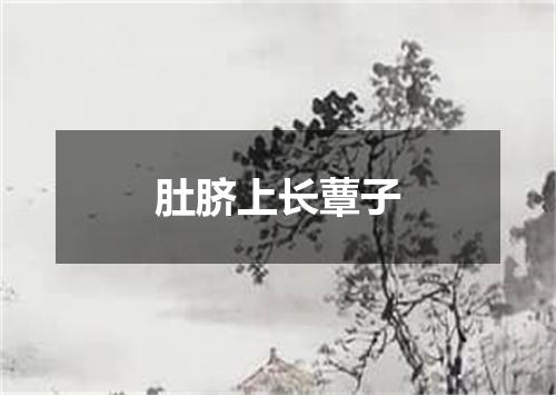 肚脐上长蕈子