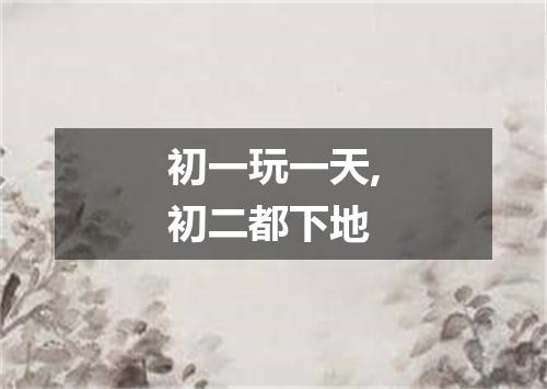 初一玩一天,初二都下地