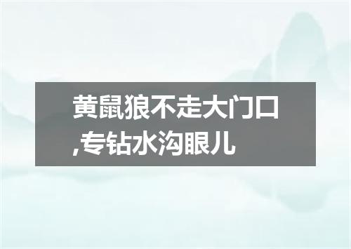 黄鼠狼不走大门口,专钻水沟眼儿