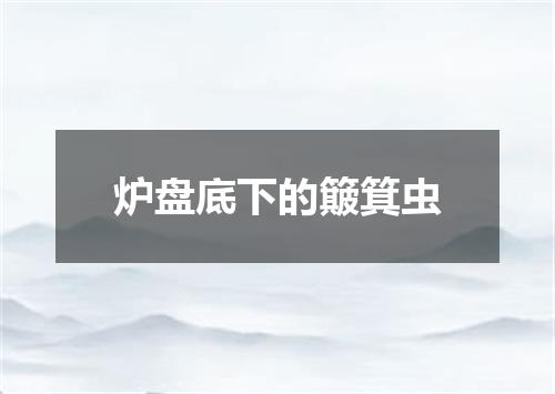 炉盘底下的簸箕虫