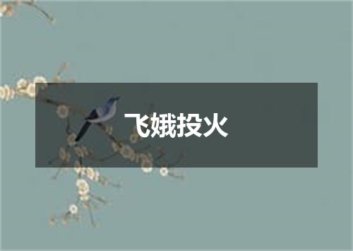 飞娥投火