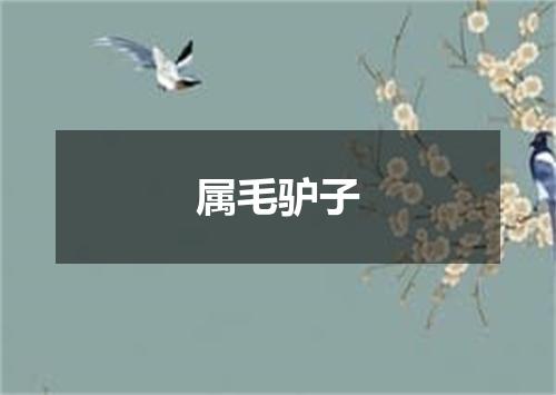 属毛驴子