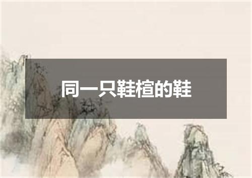 同一只鞋楦的鞋