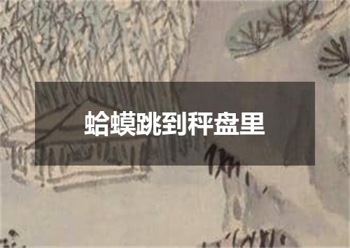 蛤蟆跳到秤盘里