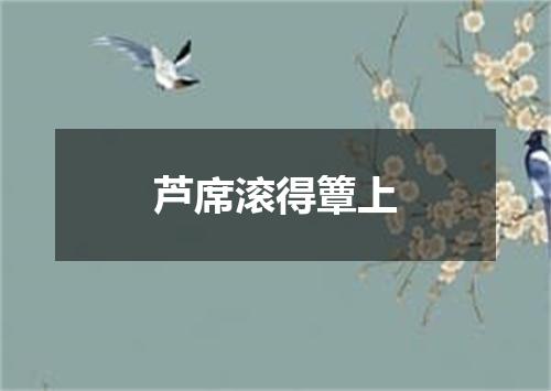 芦席滚得簟上