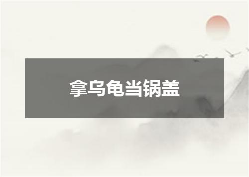 拿乌龟当锅盖