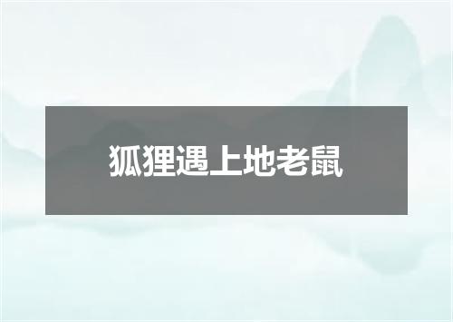 狐狸遇上地老鼠
