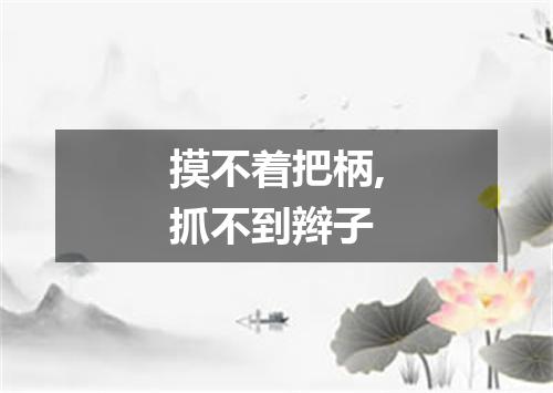 摸不着把柄,抓不到辫子