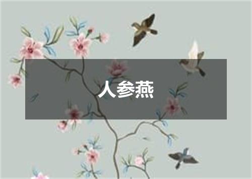 人参燕