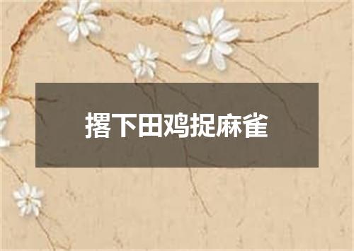 撂下田鸡捉麻雀