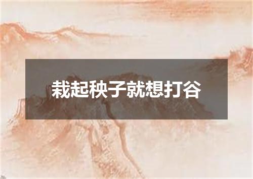 栽起秧子就想打谷