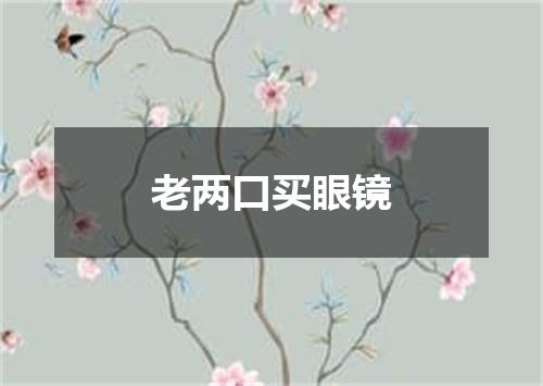 老两口买眼镜