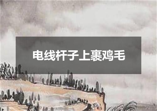 电线杆子上裹鸡毛