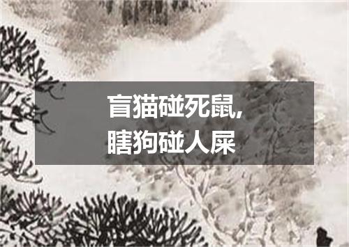 盲猫碰死鼠,瞎狗碰人屎
