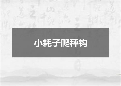 小耗子爬秤钩