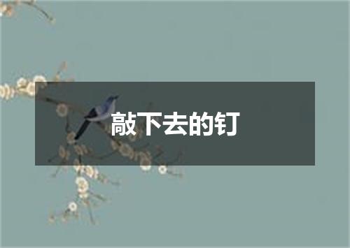 敲下去的钉