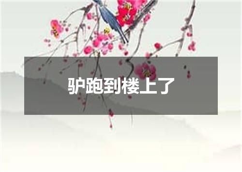 驴跑到楼上了